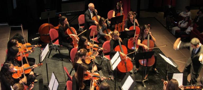 Imagen Departament de corda